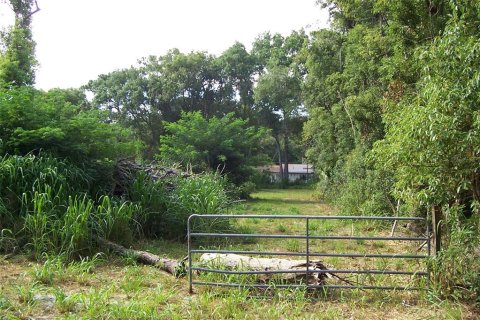 Land in Eustis, Florida № 217568 - photo 2