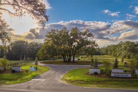 Land in Newberry, Florida № 1427641 - photo 2