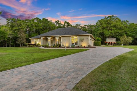 Villa ou maison à vendre à Newberry, Floride: 4 chambres, 304.53 m2 № 1690540 - photo 5
