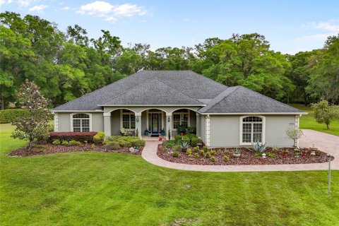 Villa ou maison à vendre à Newberry, Floride: 4 chambres, 304.53 m2 № 1690540 - photo 1