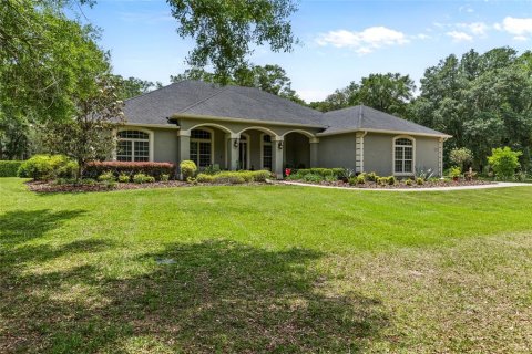 Villa ou maison à vendre à Newberry, Floride: 4 chambres, 304.53 m2 № 1690540 - photo 2
