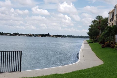 Condo in South Pasadena, Florida, 1 bedroom  № 1827943 - photo 22