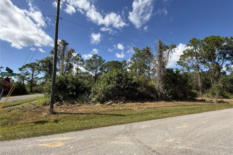 Land in Sebring, Florida № 2161619 - photo 9