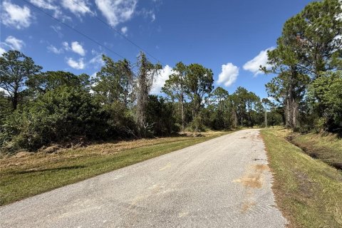 Land in Sebring, Florida № 2161619 - photo 6
