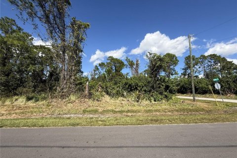 Land in Sebring, Florida № 2161619 - photo 4