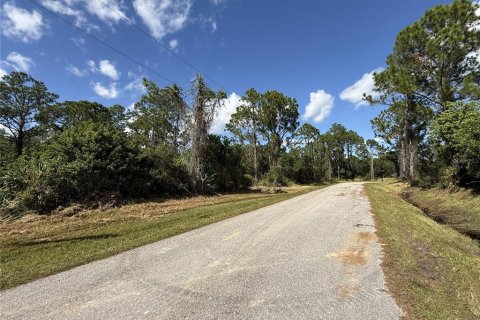 Land in Sebring, Florida № 2161619 - photo 8
