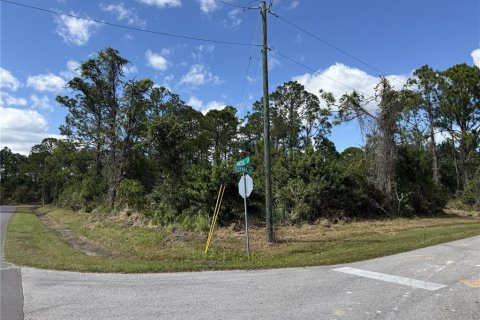 Land in Sebring, Florida № 2161619 - photo 7