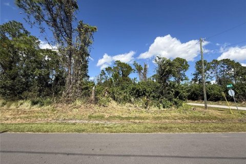 Land in Sebring, Florida № 2161619 - photo 3