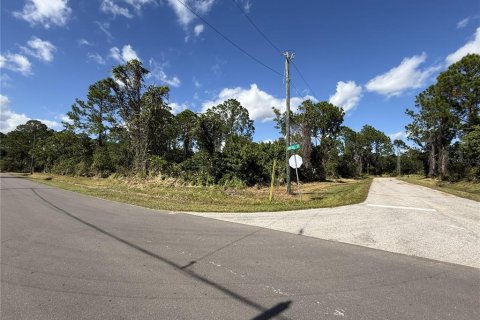 Land in Sebring, Florida № 2161619