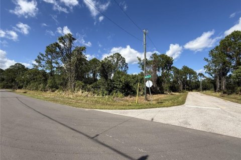 Land in Sebring, Florida № 2161619 - photo 5
