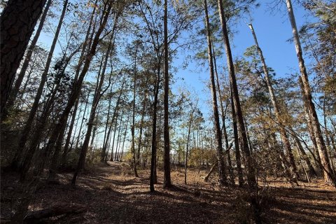 Terrain à vendre à Bronson, Floride № 2098511 - photo 4