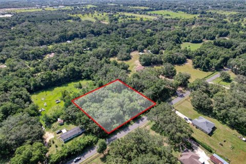 Terreno en venta en Summerfield, Florida № 1815047 - foto 3