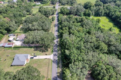Terreno en venta en Summerfield, Florida № 1815047 - foto 10