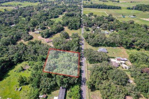 Terreno en venta en Summerfield, Florida № 1815047 - foto 4