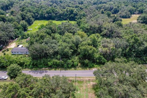 Terreno en venta en Summerfield, Florida № 1815047 - foto 19