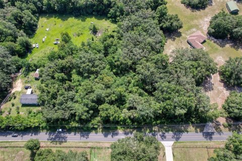 Terreno en venta en Summerfield, Florida № 1815047 - foto 13