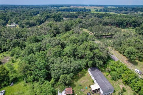 Terreno en venta en Summerfield, Florida № 1815047 - foto 22