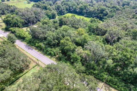 Terreno en venta en Summerfield, Florida № 1815047 - foto 18