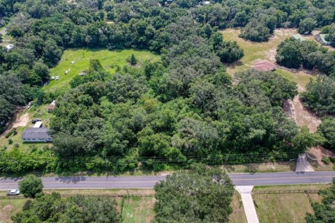 Terreno en venta en Summerfield, Florida № 1815047 - foto 20