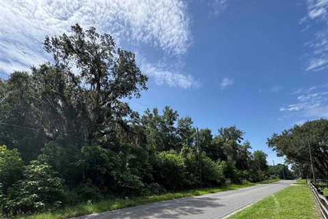 Terreno en venta en Summerfield, Florida № 1815047 - foto 2