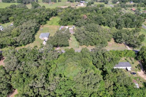 Terreno en venta en Summerfield, Florida № 1815047 - foto 8