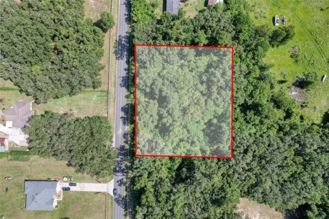 Terreno en venta en Summerfield, Florida № 1815047 - foto 5
