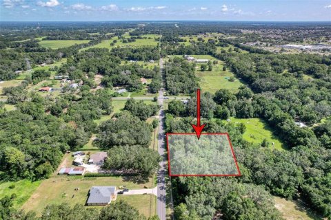Terreno en venta en Summerfield, Florida № 1815047 - foto 7