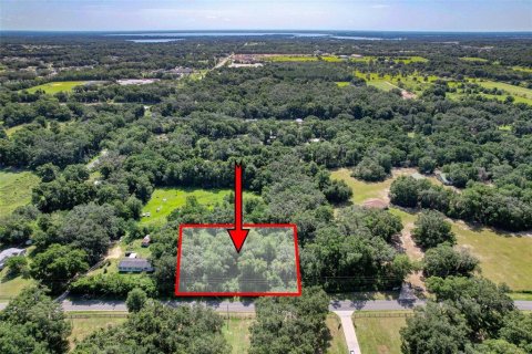 Terreno en venta en Summerfield, Florida № 1815047 - foto 1