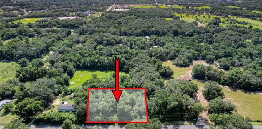 Terreno en Summerfield, Florida № 1815047