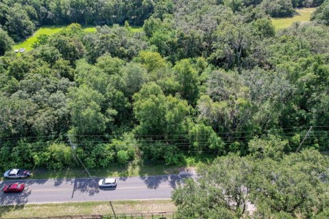 Terreno en venta en Summerfield, Florida № 1815047 - foto 12