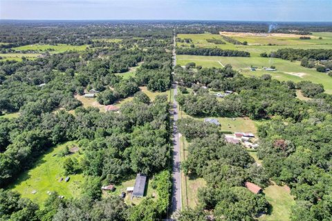 Terreno en venta en Summerfield, Florida № 1815047 - foto 14