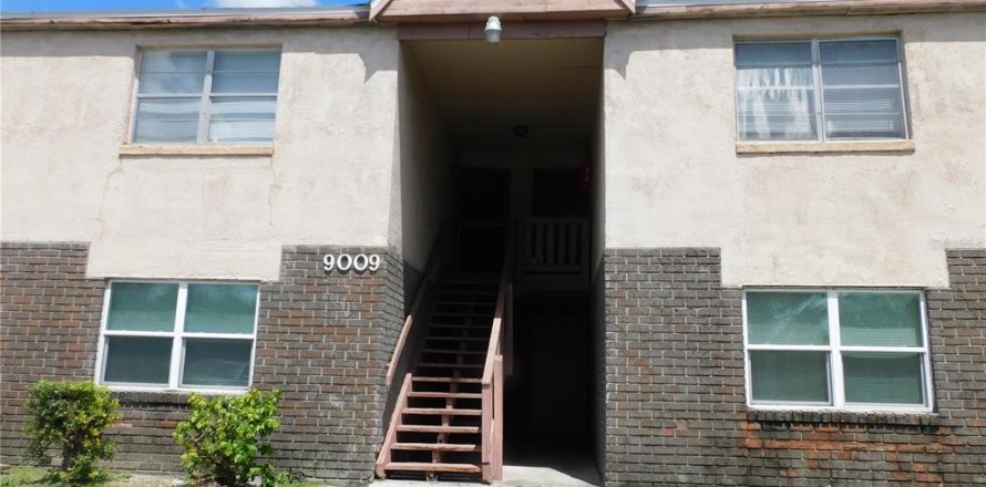 Condo à Tampa, Floride, 1 chambre  № 1908783