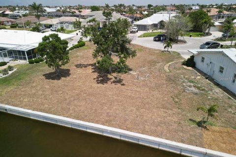 Terrain à vendre à Punta Gorda, Floride № 1913017 - photo 5
