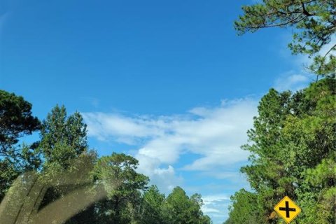 Land in Crescent City, Florida № 1552423 - photo 24