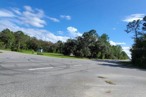Land in Crescent City, Florida № 1552423 - photo 6