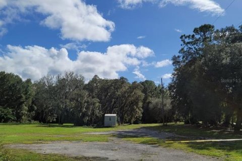 Land in Crescent City, Florida № 1552423 - photo 2