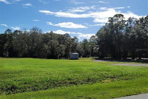 Land in Crescent City, Florida № 1552423 - photo 20
