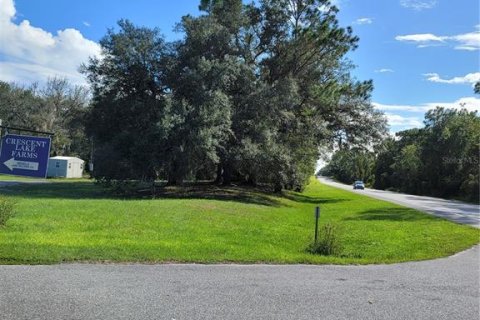 Land in Crescent City, Florida № 1552423 - photo 19