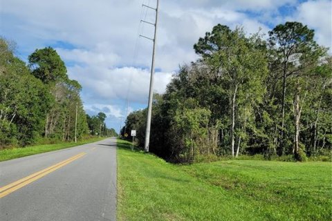 Land in Crescent City, Florida № 1552423 - photo 30