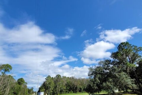 Land in Crescent City, Florida № 1552423 - photo 4
