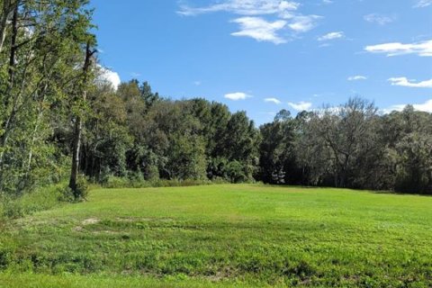 Land in Crescent City, Florida № 1552423 - photo 12