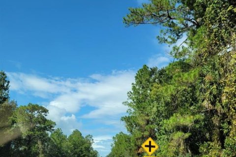 Land in Crescent City, Florida № 1552423 - photo 3