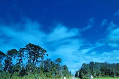 Land in Crescent City, Florida № 1552423 - photo 5