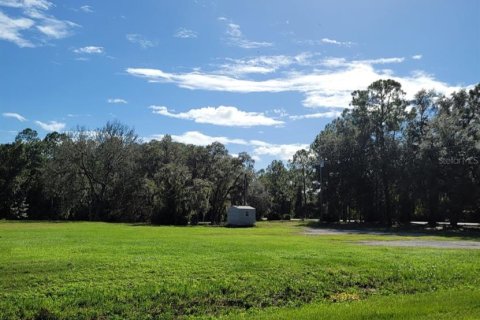 Land in Crescent City, Florida № 1552423 - photo 11