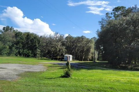 Land in Crescent City, Florida № 1552423 - photo 10