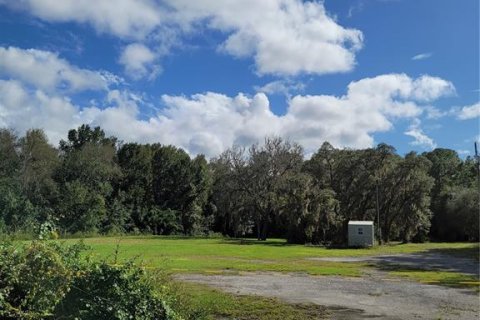 Land in Crescent City, Florida № 1552423 - photo 21