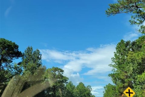 Land in Crescent City, Florida № 1552423 - photo 25