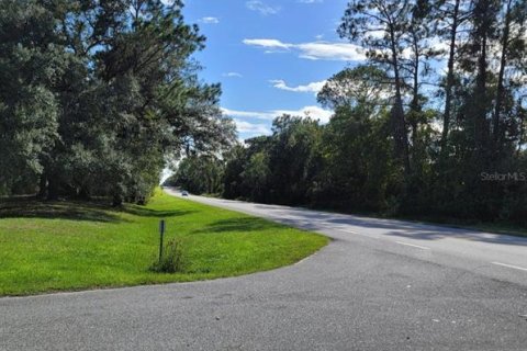 Land in Crescent City, Florida № 1552423 - photo 9