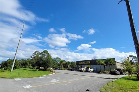 Land in Crescent City, Florida № 1552423 - photo 29