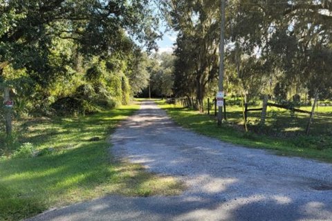 Land in Crescent City, Florida № 1552423 - photo 14